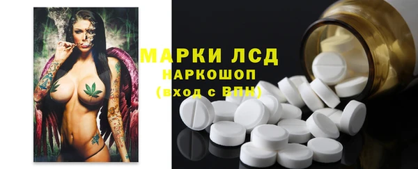 ГАЛЛЮЦИНОГЕННЫЕ ГРИБЫ Бородино