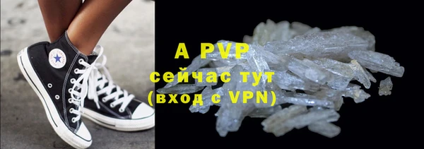 ГАЛЛЮЦИНОГЕННЫЕ ГРИБЫ Бородино