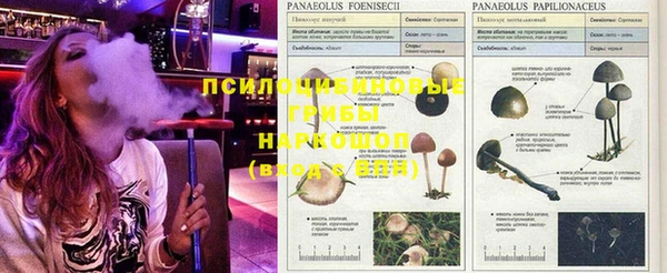 гашишное масло Бронницы