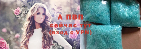 ГАЛЛЮЦИНОГЕННЫЕ ГРИБЫ Бородино
